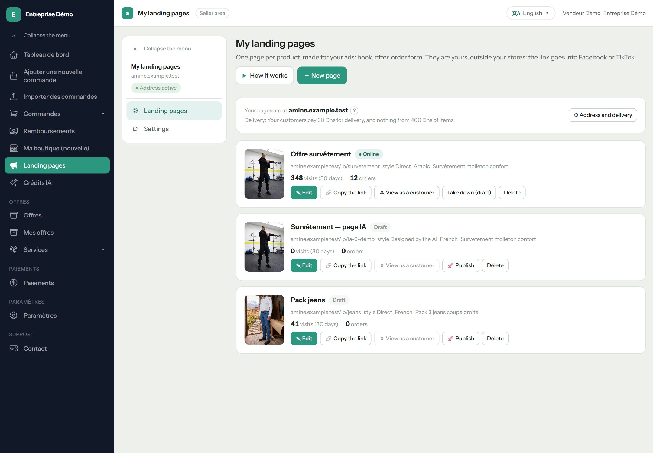 The landing pages list: one online, one designed by the AI